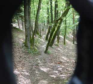 Walderlebnispfad