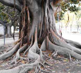 Park der Villa Mazzini