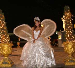 Wunderschöner Ladyman