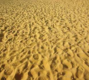 Inspirationen an d.Strandprom.entlang Nov.2010