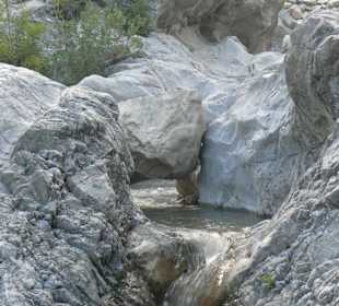 Jeep Safari mit Heike