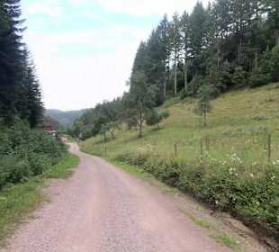 Wandern Schenkenzell