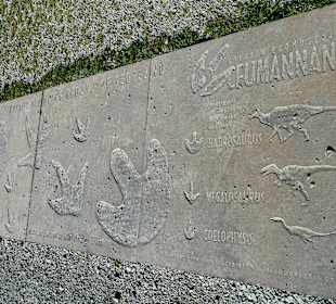 In Staffin stapften die Saurier