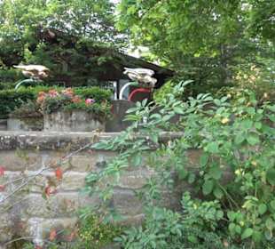 Erlebnispark Tripsdrill