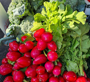 Stadtrundgang Paralia Kourna