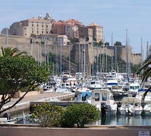Blick auf die Burg in Calvi