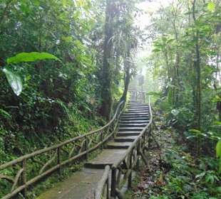 La Paz Waterfall Gardens