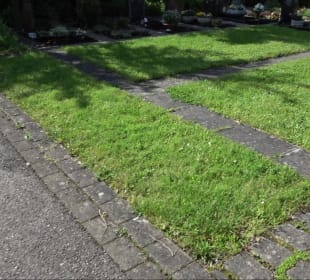 Friedhof Beihingen