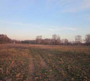 Natur Pur-Germersheimer Düne