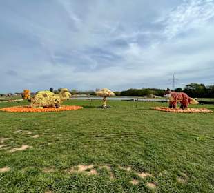 Krewelshof  Kürbisschau 2022 (Wundersame Waldwesen