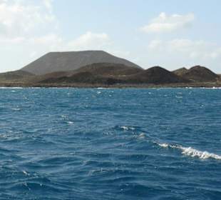 Isla de Lobos