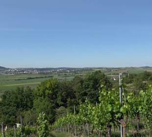 Früchtetrauf - Wurmlinger Kapellenwegle