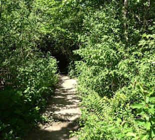 Naturschutzgebiet Taubenäcker