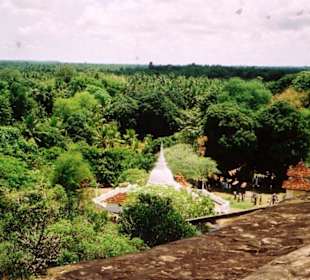 Aluthepola Tempel, Nähe Negombo