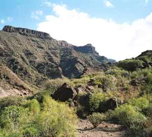 Barranco del Taurito - Gran Canaria