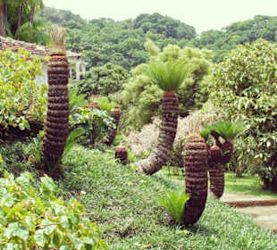 Botanischer Garten Balata