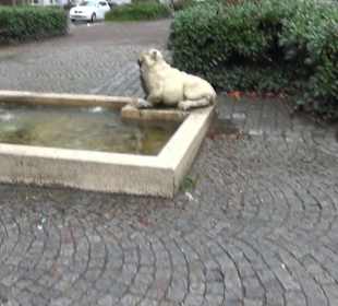 Untere Laube