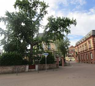  Triefenbach - Offenlegung am Schafplatz