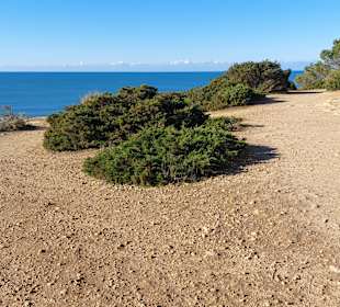Seven Hanging Valleys Trail 