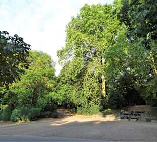 Rundgang durch den Volksgarten Köln