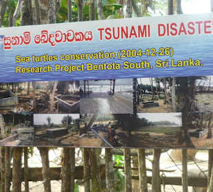 Erinnerung an den Tsunami