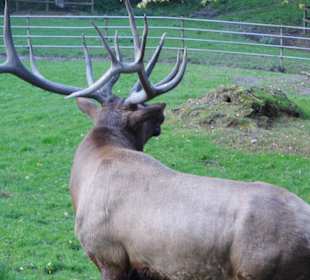 WP LH Herbst Impression