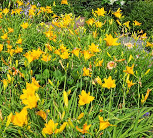 Eindrücke vom Rundgang durch den Park der Gärten