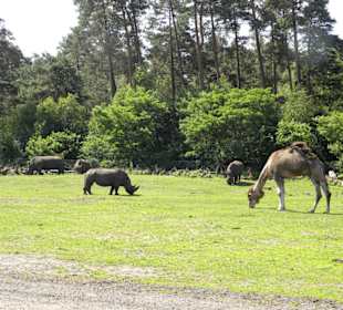 Serengeti Park Hodenhagen