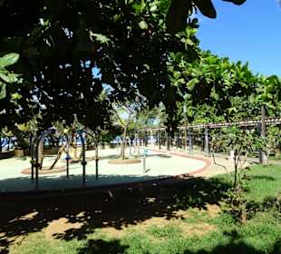 Der Park am Strand von Saint-Pierre