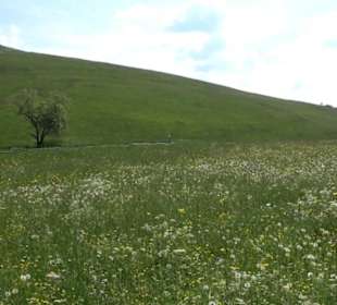 Klimaweg Sonnenalb