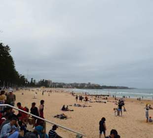 Manly Beach