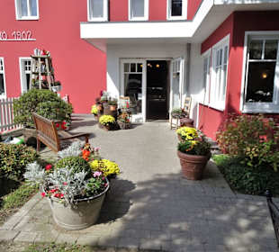 Im Garten des Marien-Cafés