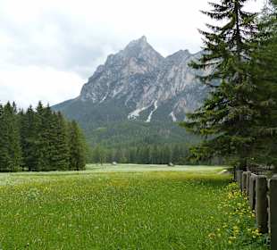 Beim Wildsee
