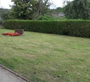 Friedhof Breitenholz
