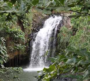 Annandale Falls