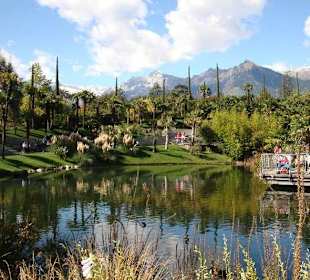 Lotosteich mit Liegestühlen