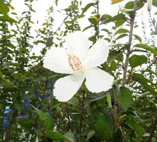 Ausflug Wildfife Expeditions- Rastplatz