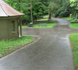Waldfriedhof Degerloch