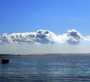 Mauritius Andrea Rodrige deutscher Tourist Guide