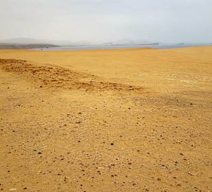 Nationalreservat Paracas