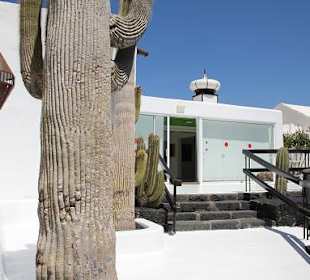 Der Künstler Cesar Manrique (Haus)