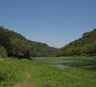 Wadi Darbat im Oktober