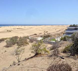 Dünen von Playa de Ingles