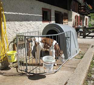 Während einer Bergwanderung