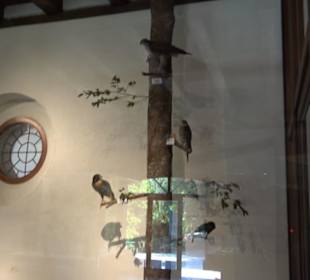 Natur- und Jagdmuseum