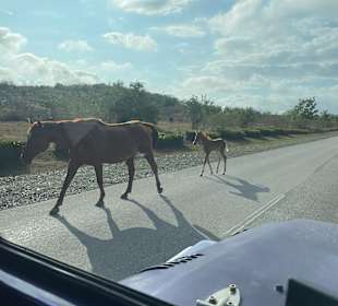 Ausflug nach Holguin