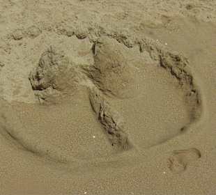 Schon fast zerstört