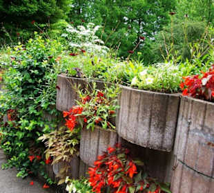 Blumen in Pflanzkübel