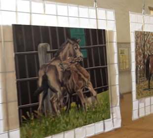 Gestütshof Offenhausen