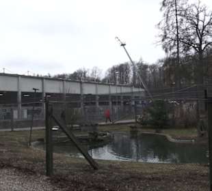 Wildpark Eichert